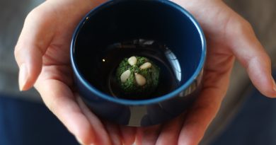 “ひとり旅”で見つけた感性が巡ること – みそだまWSを終えて – “ひとり旅”で見つけた感性が巡ること – みそだまWSを終えて –